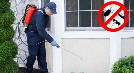 Kemalpaşa Dezenfeksiyon böcek ilaçlama ve haşere kontrolü — ilaclama-tr.com